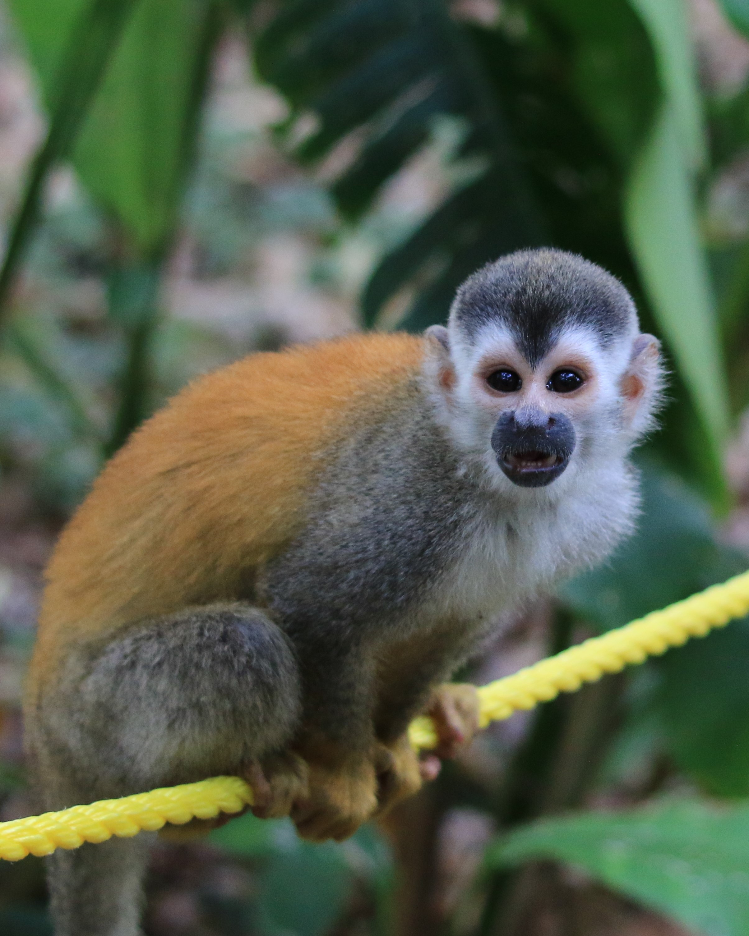 Costa Rica